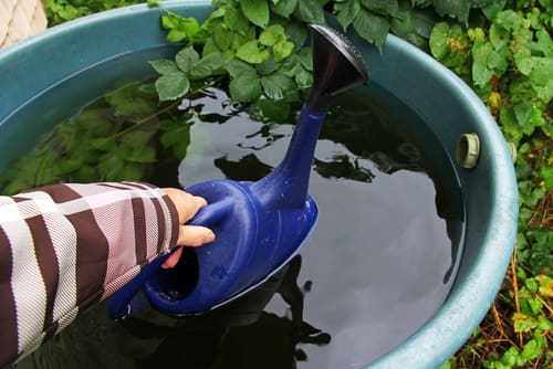 rainwater-harvesting