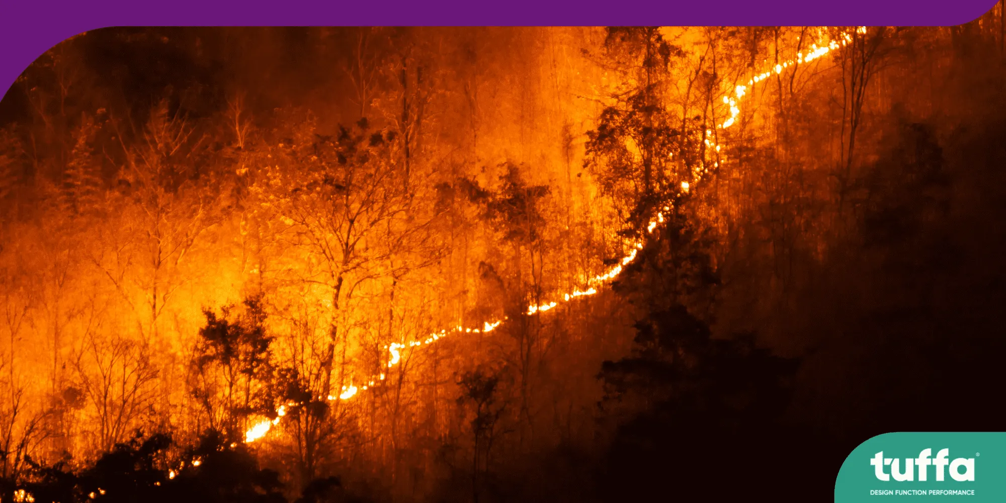 Forest fires predicted in El Nino aftermath for 2024